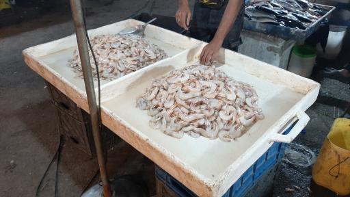 عکس بازار دستفروشان ماهی