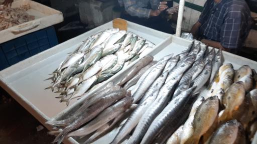 عکس بازار دستفروشان ماهی