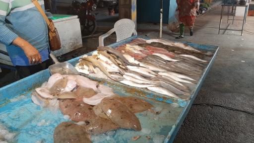 عکس بازار دستفروشان ماهی