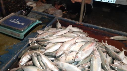 عکس بازار دستفروشان ماهی