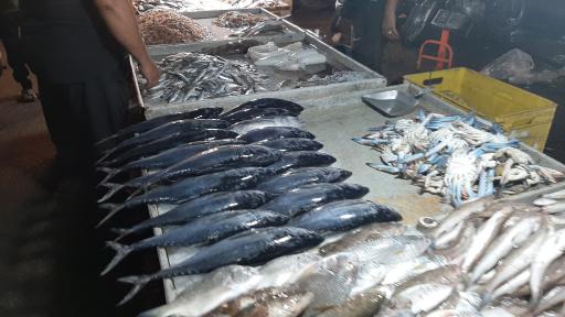 عکس بازار دستفروشان ماهی