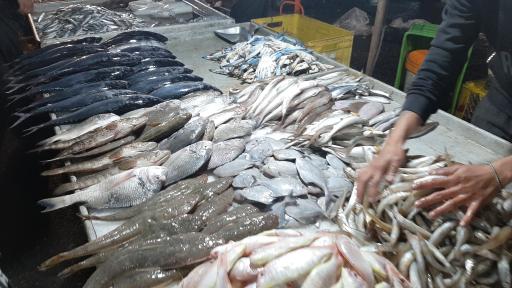 عکس بازار دستفروشان ماهی