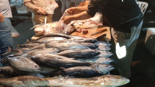 عکس بازار دستفروشان ماهی