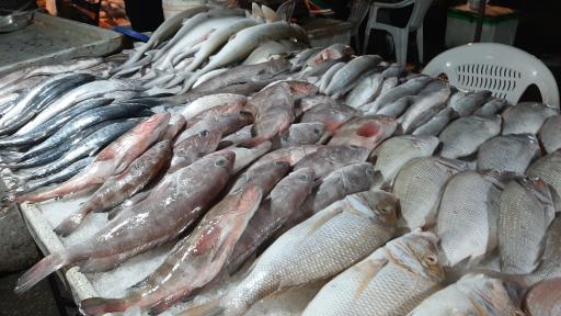 عکس بازار دستفروشان ماهی