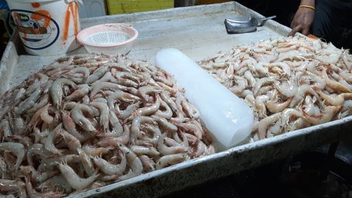 عکس بازار دستفروشان ماهی