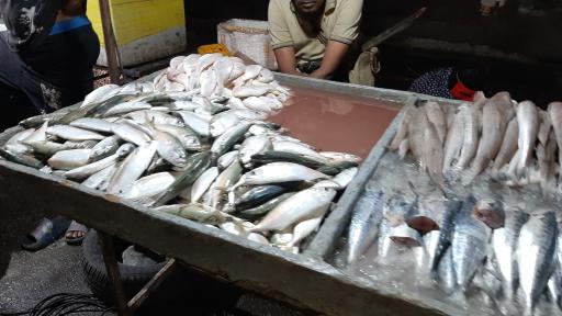 عکس بازار دستفروشان ماهی