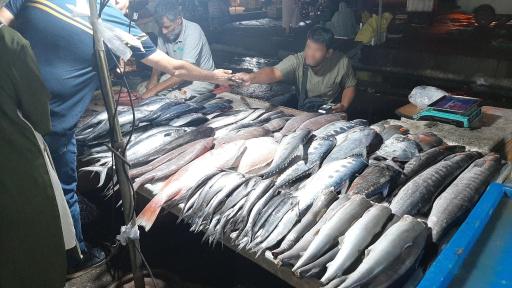 عکس بازار دستفروشان ماهی