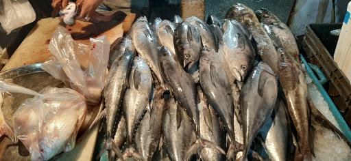 عکس بازار دستفروشان ماهی