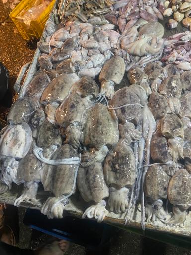 عکس بازار دستفروشان ماهی