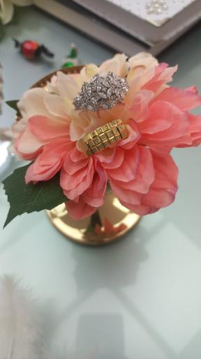 عکس دفتر ازدواج ۲۳۸