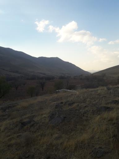 عکس ادشته