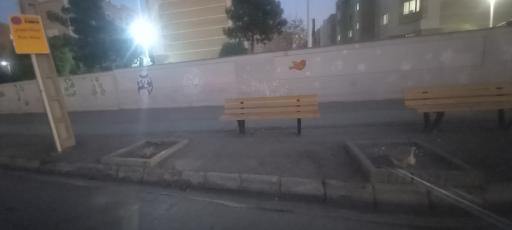 عکس  شهید موسوی قوچانی 27