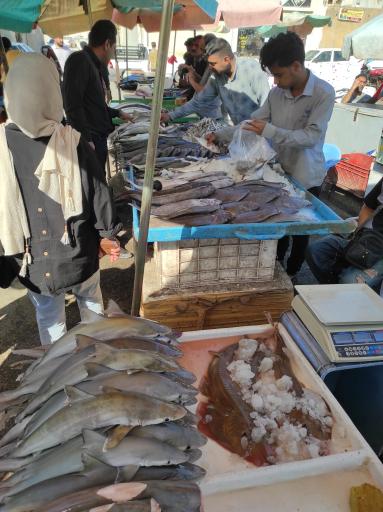 عکس بازار دستفروشان ماهی