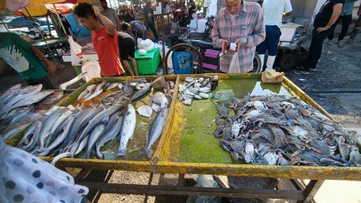 عکس بازار دستفروشان ماهی