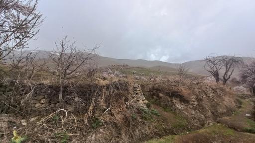 عکس ادشته