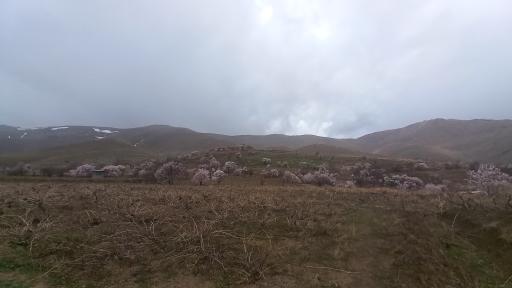 عکس ادشته