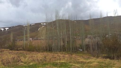 عکس ادشته