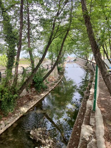 عکس پارک ساحلی دوجمان