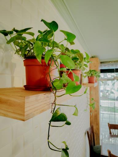 عکس کافه ماجان