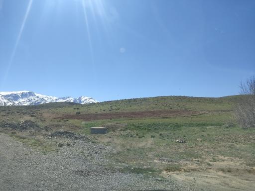 عکس سیبک