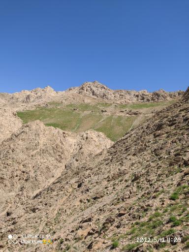 عکس سیبک