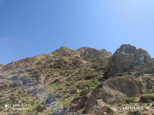 عکس سیبک