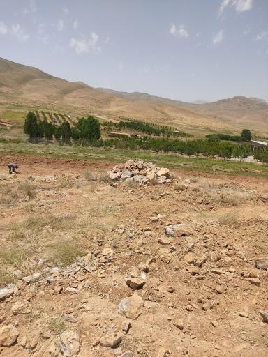 عکس سیبک