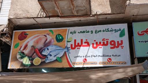 عکس خلیل پروتئین