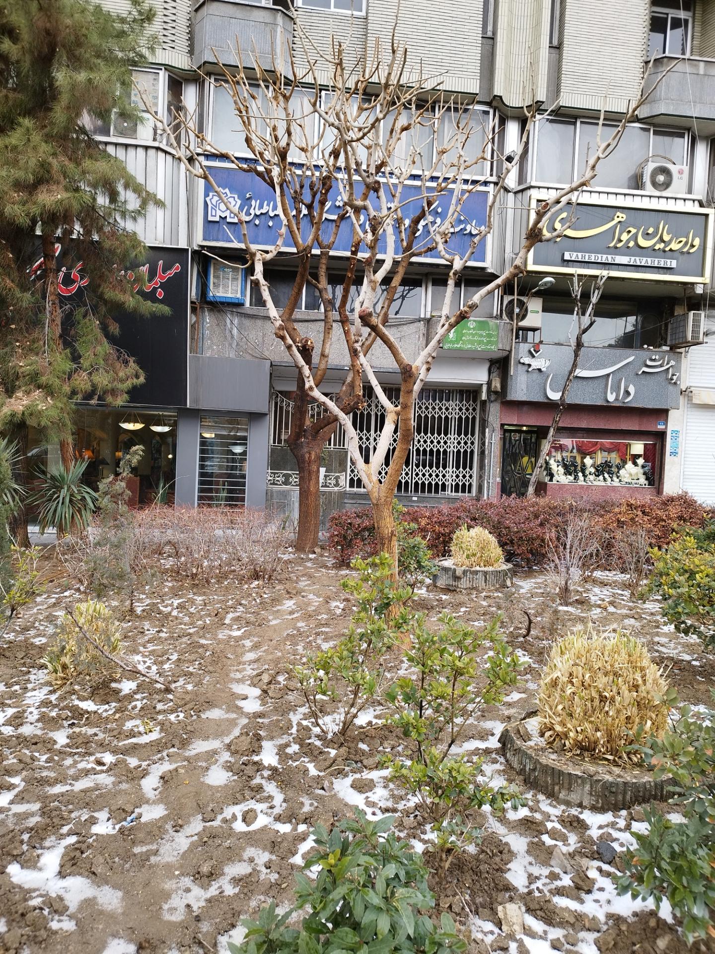عکس معاونت فرهنگی و اجتماعی دانشگاه علامه طباطبایی