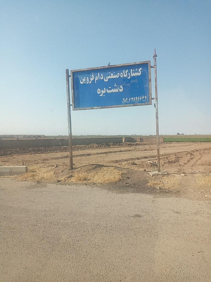 عکس کشتارگاه دشت بره