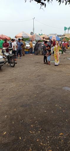 عکس بازار دستفروشان ماهی