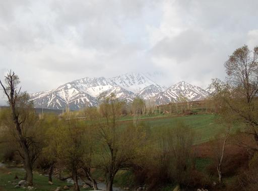 عکس سیبک