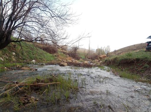 عکس سیبک