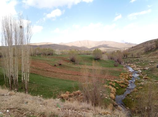 عکس سیبک