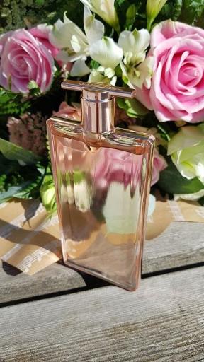 عکس عطر و ادکلن یوتا یوتا پرفیوم