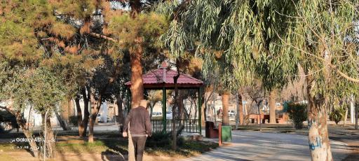 عکس بوستان امیرکبیر