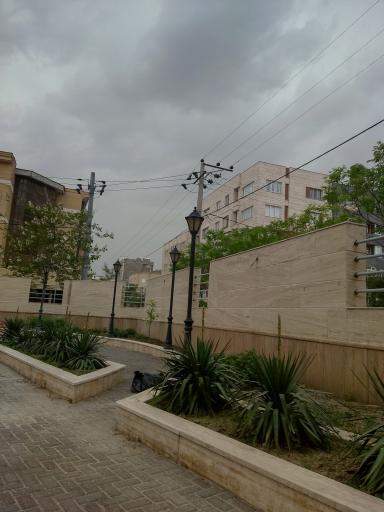 عکس دانشگاه  سجاد