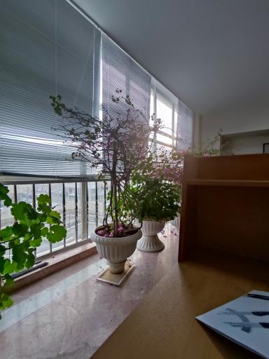 عکس دانشگاه  سجاد