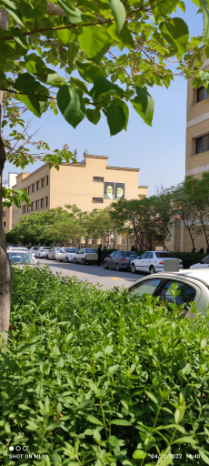 عکس دانشگاه  سجاد