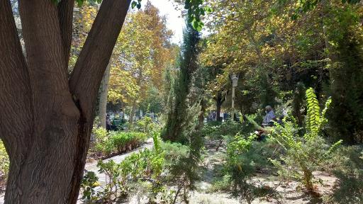 عکس بوستان دانشجو