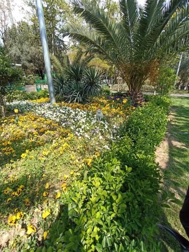 عکس بوستان دانشجو