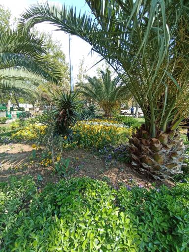 عکس بوستان دانشجو