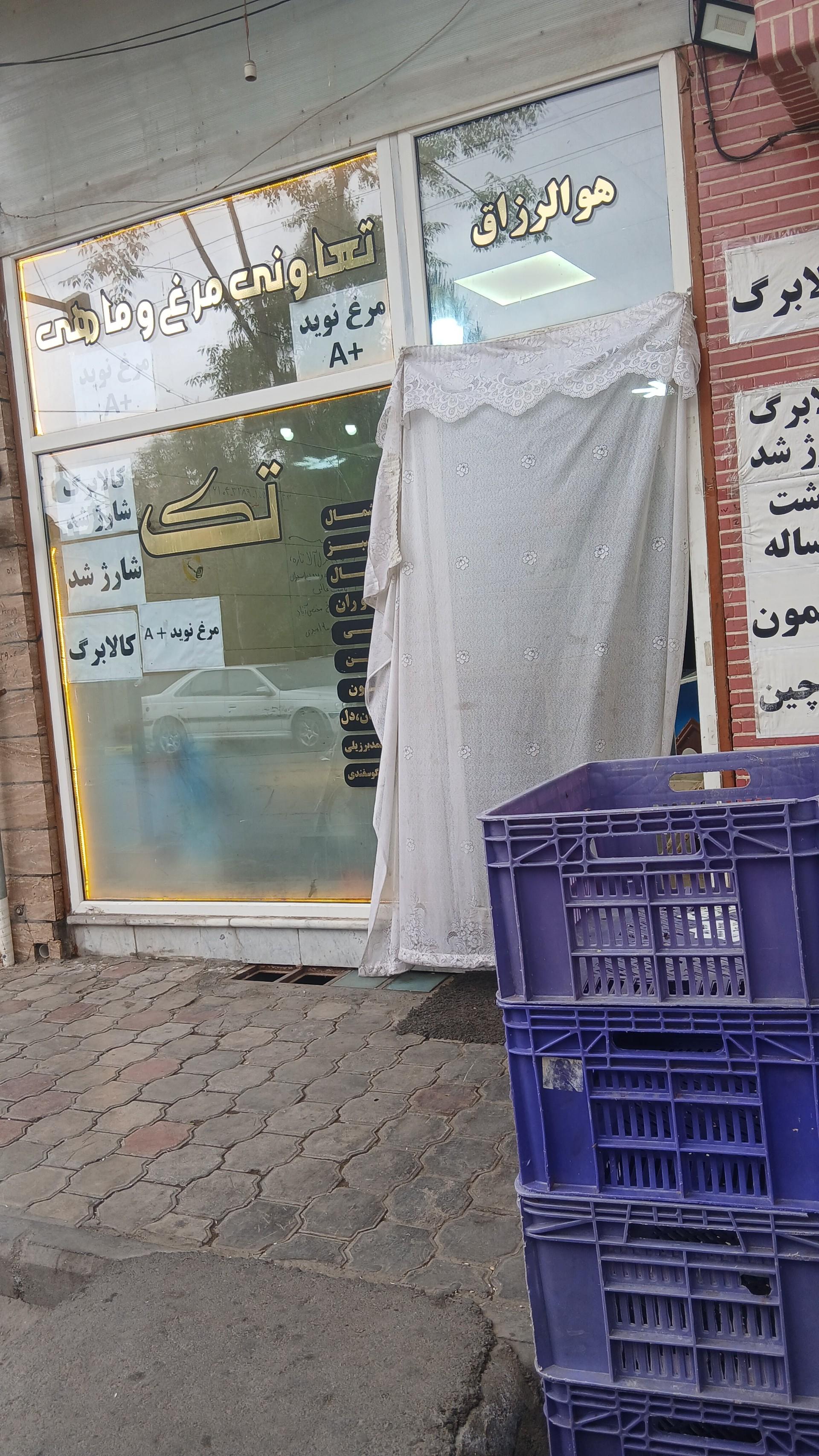 عکس تعاونی مرغ تک