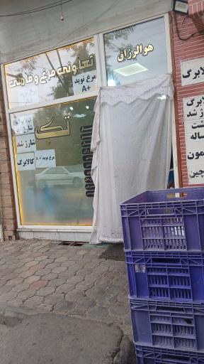 عکس تعاونی مرغ تک