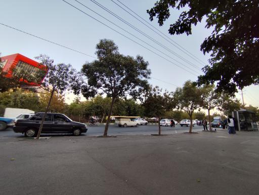 عکس  شهید بابانظر 55