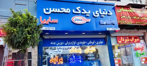 عکس دنیای یدک محسن