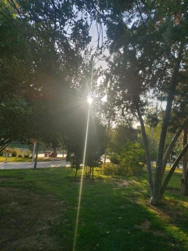 عکس بوستان امیرکبیر