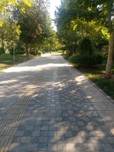 عکس بوستان امیرکبیر