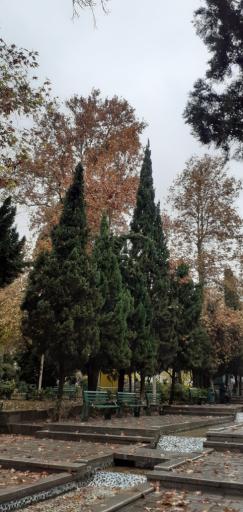 عکس بوستان دانشجو