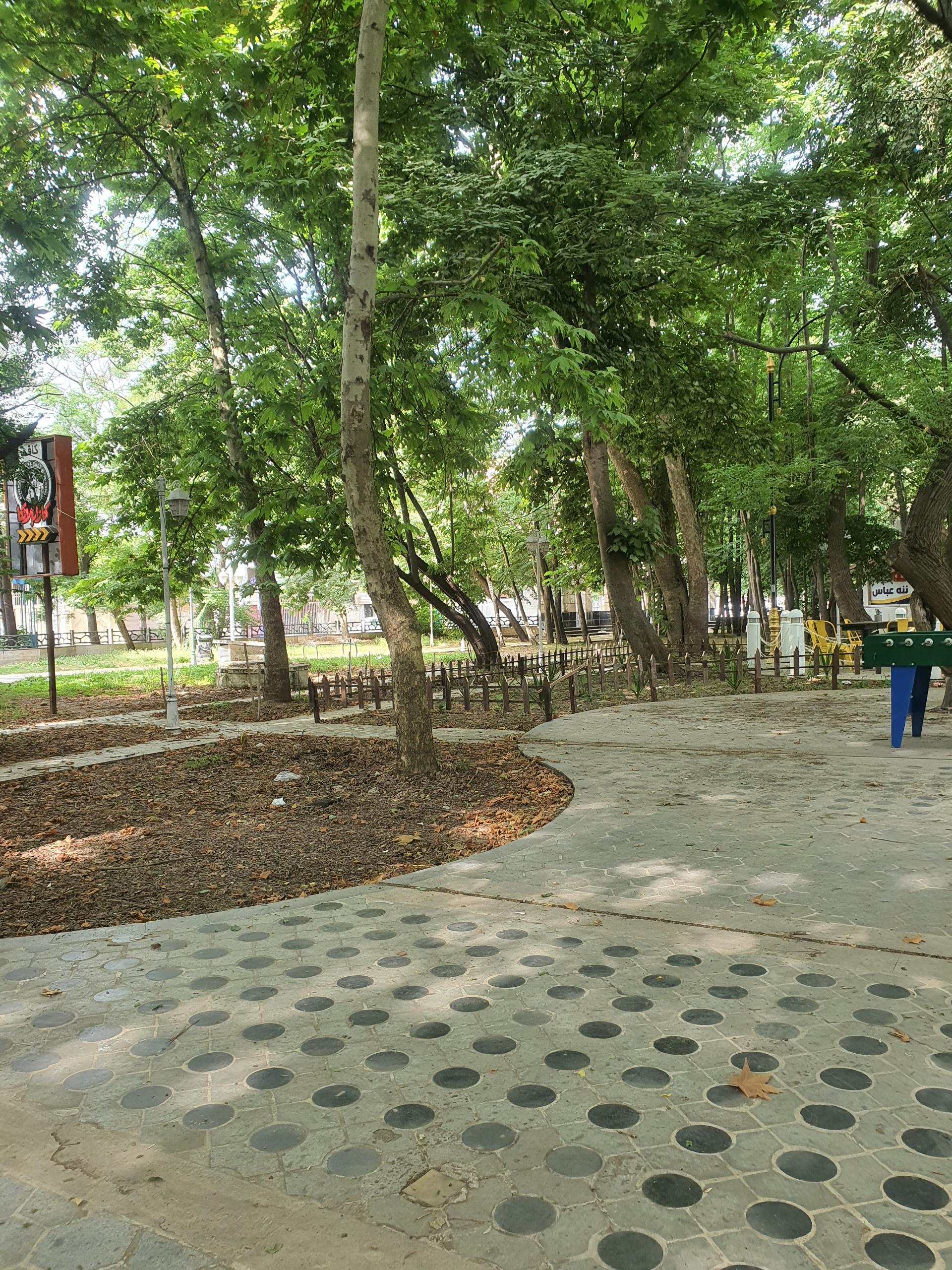 عکس کافه وودی